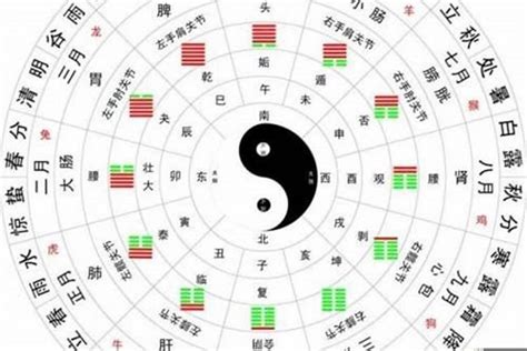 八字 算法|生辰八字算命、五行喜用神查询（免费测算）